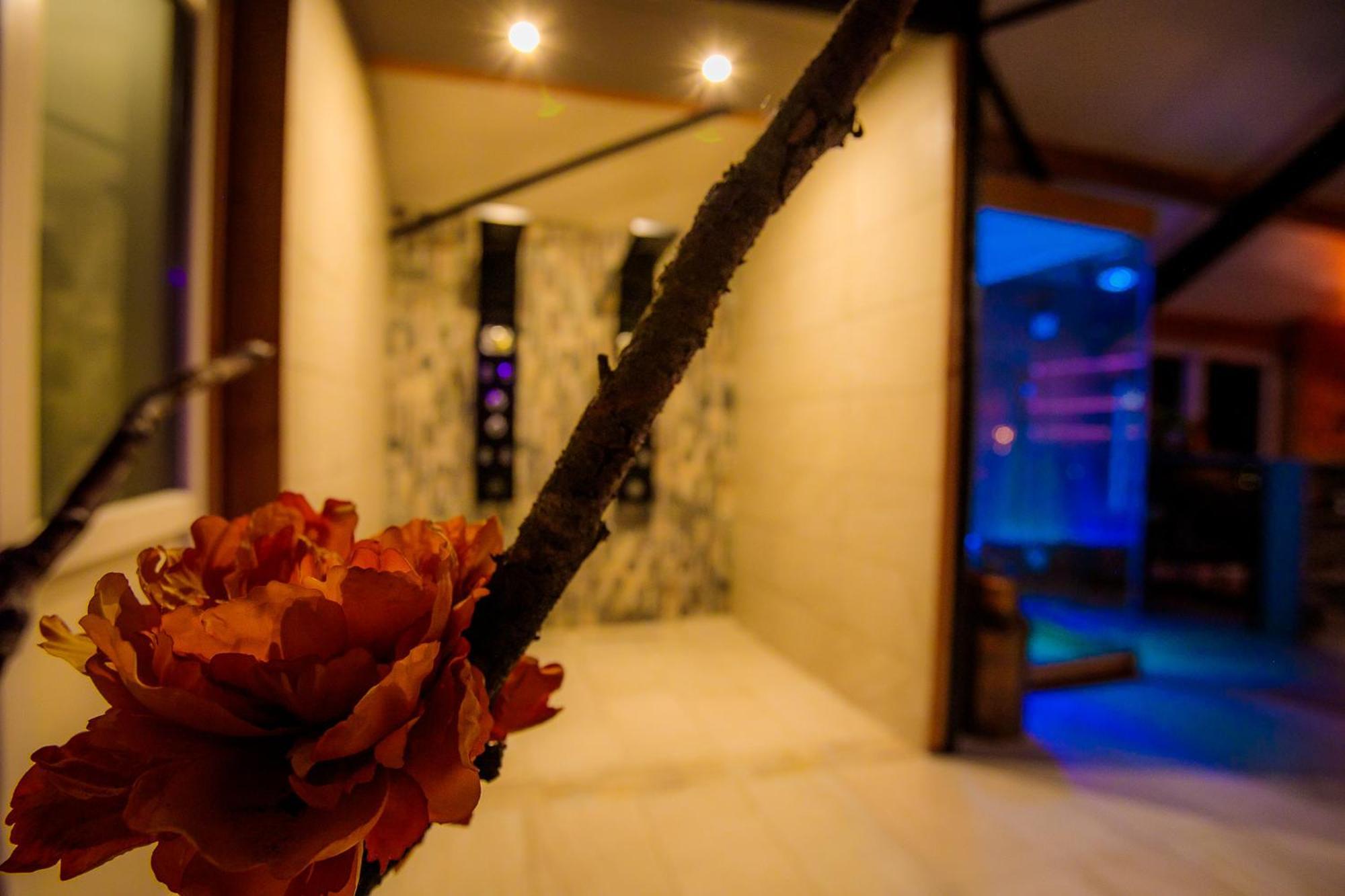 B&B En Wellness De Waalhoeve Angerlo Dış mekan fotoğraf